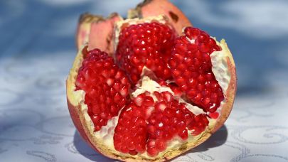 Denizli Pamukkale'de Nar Hasadı Başladı