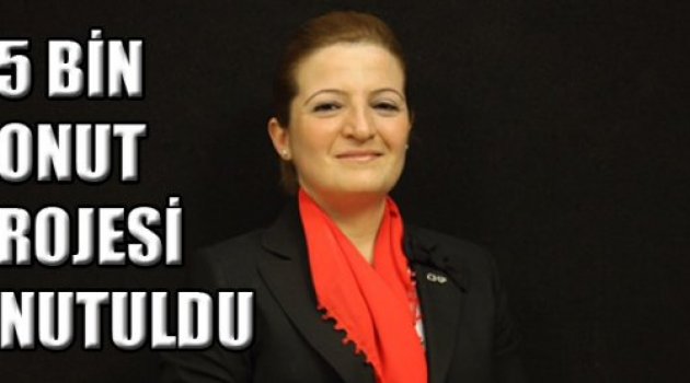 25 BİN KONUT PROJESİ UNUTULDU