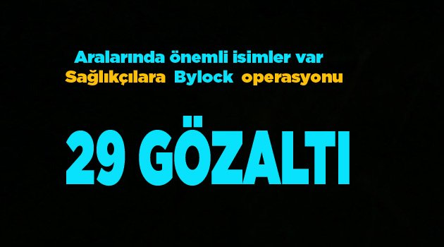 29 KİŞİ GÖZALTINDA