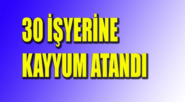 30 ŞİRKETE KAYYUM ATANDI