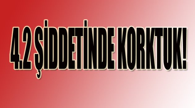 4.2 ŞİDDETİNDE KORKTUK