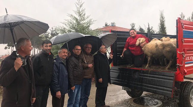 BAKLAN’DA GENÇ ÇİFTÇİLERE CANLI HAYVAN DAĞITIMI YAPILDI