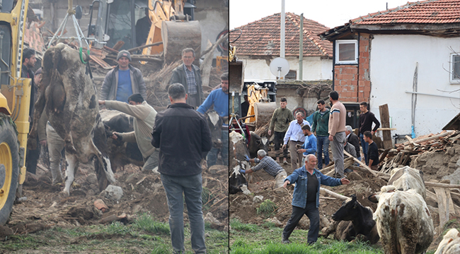 DEPREMİN ŞOKUNU ATLATMAYA ÇALIŞIYORLAR