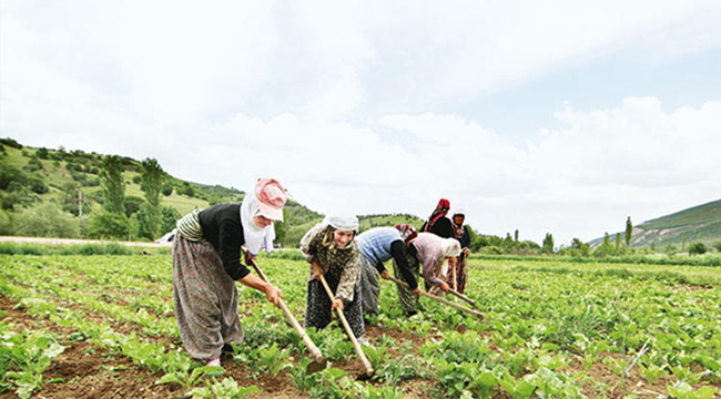 AKCAN, ÜRETİCİLER İÇİN DESTEK İSTEDİ