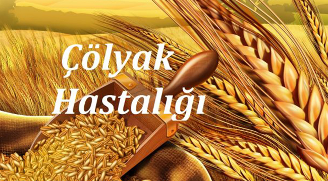 Büyükşehirden Çölyak Hastalarına Gıda Yardımı
