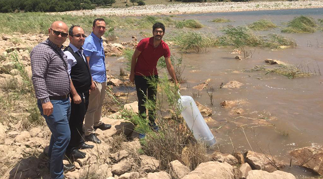 Denizli’de 105 Bin Adet Yavru Sazan Balığı Göletlere Bırakıldı