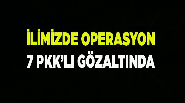 7 PKK’LI GÖZALTINA ALINDI