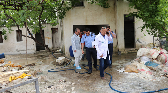 10 Ton Sakatat İmha Edildi