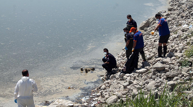 CESEDİ BALIK TUTMAYA GELENLER BULDU