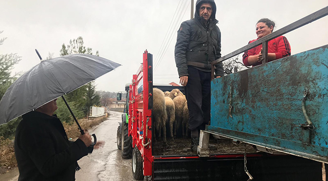 BAKLAN’DA GENÇ ÇİFTÇİLERE CANLI HAYVAN DAĞITIMI YAPILDI
