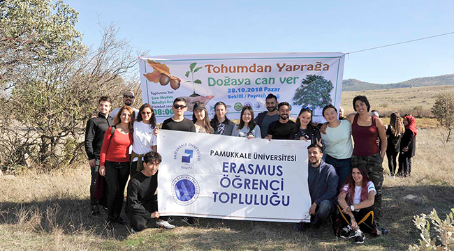 MEŞE PALAMUTLARI TOPRAKLA BULUŞTU