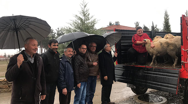 BAKLAN’DA GENÇ ÇİFTÇİLERE CANLI HAYVAN DAĞITIMI YAPILDI