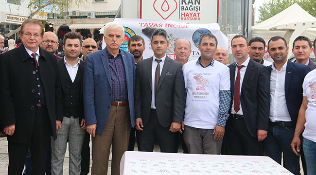 Tavaslı Üreticiden Beyaz Ayçekirdeği Seferberliği