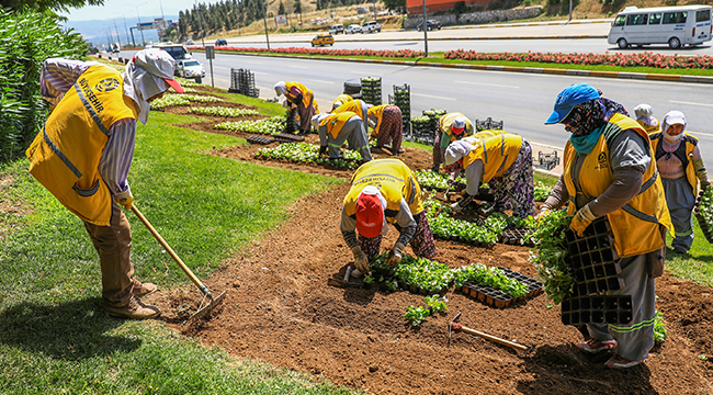 Büyükşehir Yeşil Alanları Bakıma Aldı