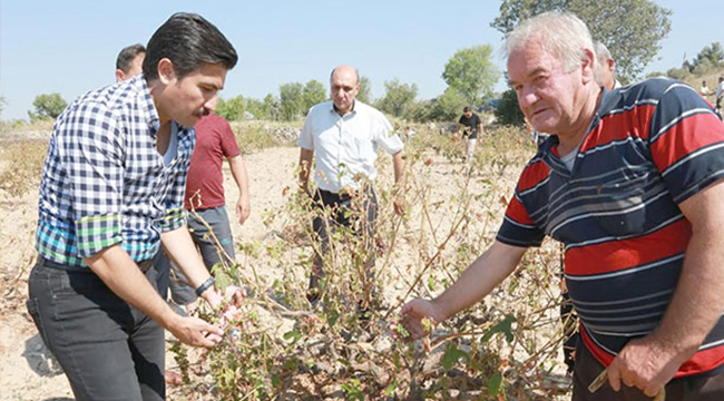 Özkan Dolu Mağduru Çiftçileri Dinledi