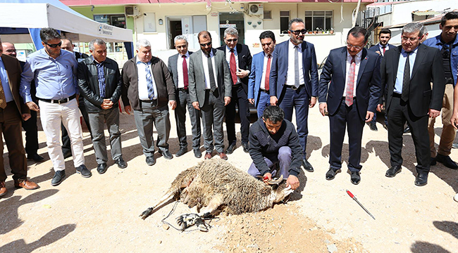 PAÜ HASTANESİ ESKİ BİNA YIKIMI TAMAMLANDI