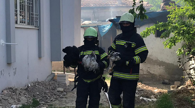 Cumhuriyet Mahallesi'nde Korkutan Yangın