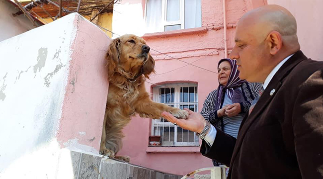 Buldan Belediyesi’nden Sokak Hayvanlarına Yardım Eli