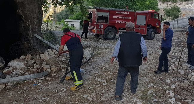 Meradaki 4 Asırlık Çınar Ağacını Yaktılar