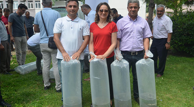 Denizli’de 105 Bin Adet Yavru Sazan Balığı Göletlere Bırakıldı