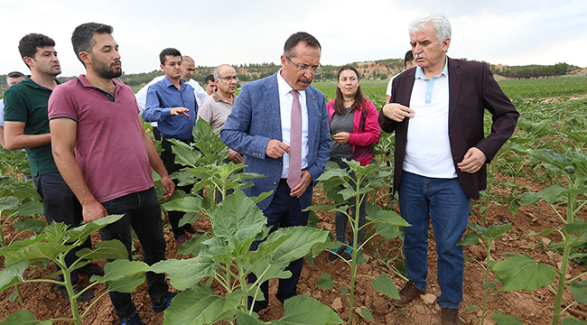 Denizli Tarımının İyileştirilmesi İçin Ortak Proje