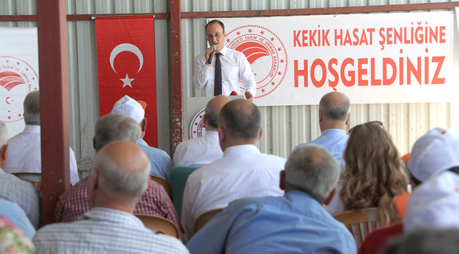 Başkan Örki Çiftçilerle İlk Kekik Hasadını Yaptı
