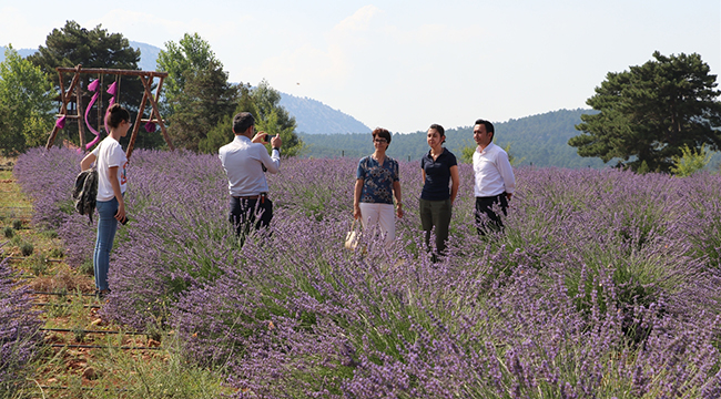 Lavanta Tarlasını Turizm Merkezi Oldu