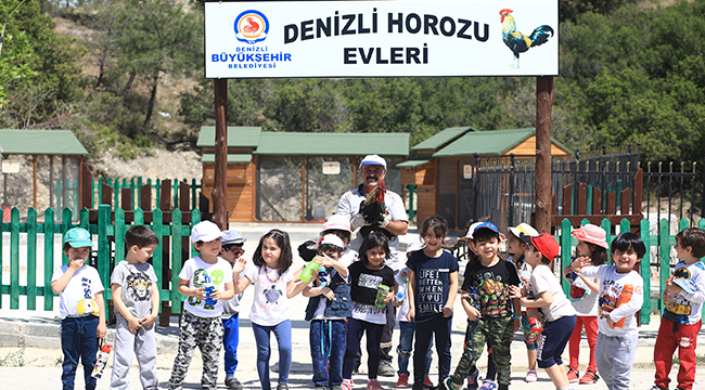 Hayvan Sevgisini Küçük Yaşta Öğreniyorlar