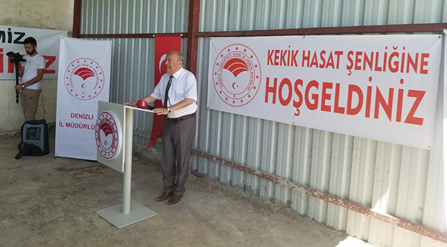 Pamukkalede Kekik Hasadı Başladı