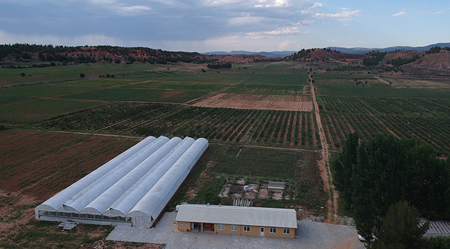 Denizli Tarımının İyileştirilmesi İçin Ortak Proje
