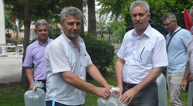 Denizli’de 105 Bin Adet Yavru Sazan Balığı Göletlere Bırakıldı