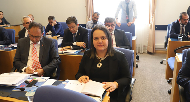 ÖK PLAN VE BÜTÇE KOMİSYONU’NDA KONUŞTU