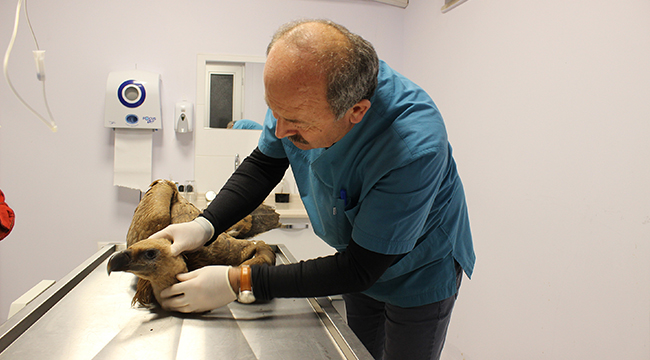 KIZIL AKBABAYA BÜYÜKŞEHİR SAHİP ÇIKTI