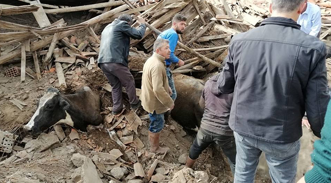 MUHTAR BİÇER: 5 EV YIKILDI,HASARLI OLANLARDA VAR"