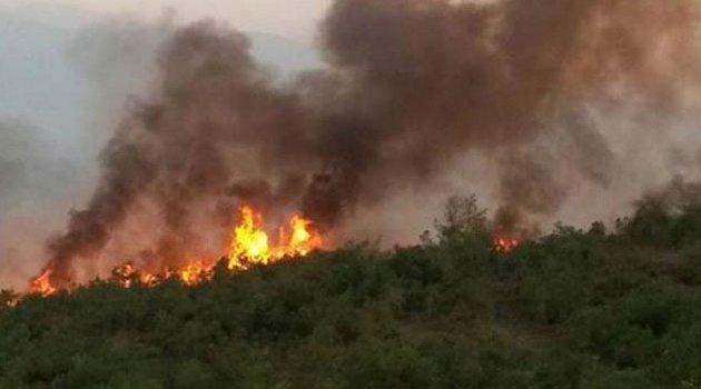ACIPAYAM'DA ORMAN YANGINI
