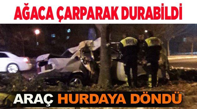 AĞACA ÇARPARAK DURABİLDİ