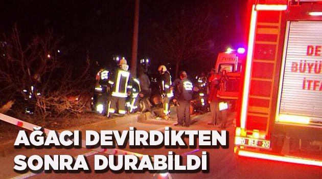 AĞACI DEVİRDİKTEN SONRA DURDU