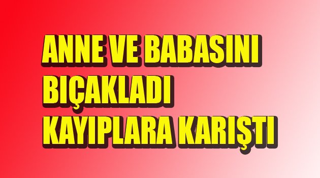 ANNE-BABASINI BIÇAKLAYAN EVLAT ARANIYOR