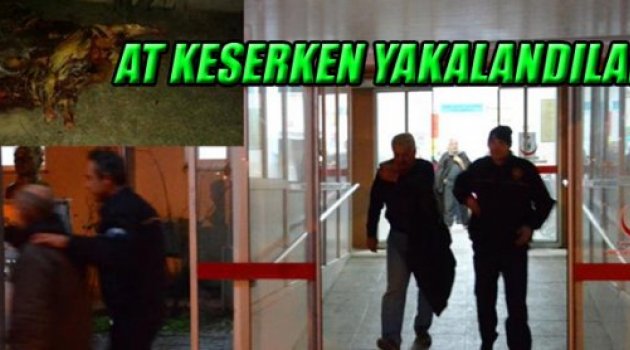 AT KESERKEN YAKALANDILAR