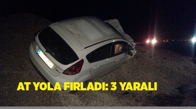 AT YOLA ÇIKTI: 3 YARALI