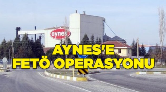 AYNES'e FETÖ operasyonu