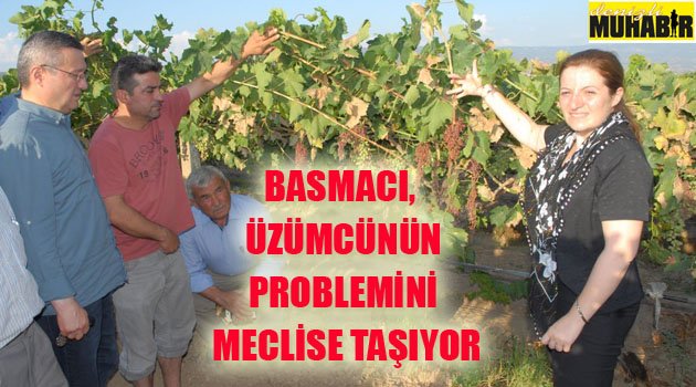 BASMACI,  ÜZÜMCÜNÜN PROBLEMİNİ MECLİSE TAŞIYOR