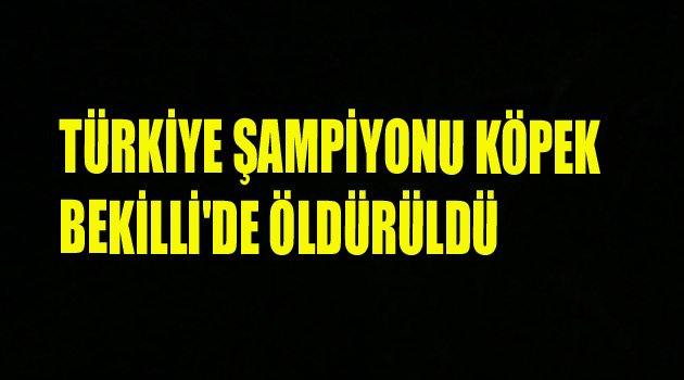 BEKİLLİ'DE TÜRKİYE ŞAMPİYONU KÖPEK VURULDU