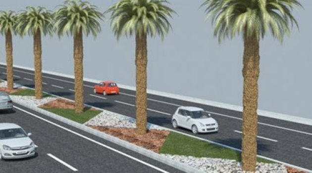 Beyaz cennetin yolu palmiyeler ile donatılacak