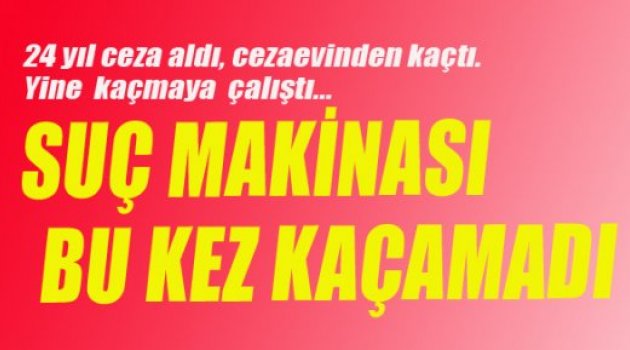 BİR KEZ SIÇRAYABİLDİ