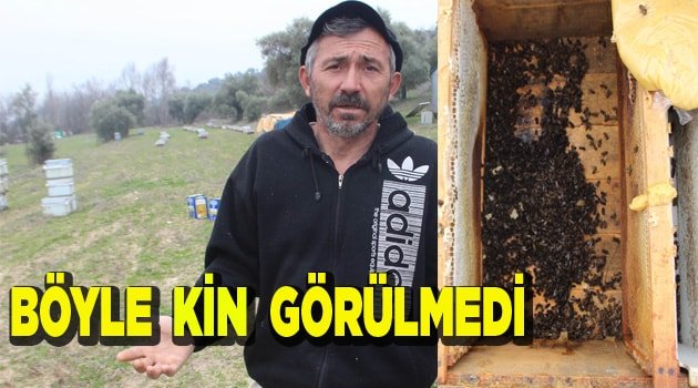 BÖYLE KİN GÖRÜLMEDİ