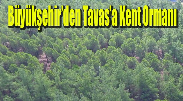 Büyükşehir’den Tavas’a Kent Ormanı
