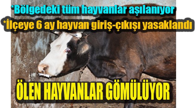 ÇAL'A 6 AY KARANTİNA KARARI