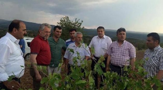 ÇAL'LI ÇİFTÇİ DOLUYA TESLİM
