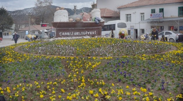 Çameli  Çiçek Açtı
